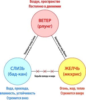 Коррекция образа жизни в Казани - 0