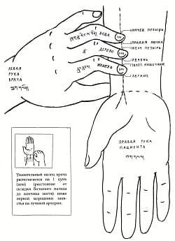 Тибетская пульсовая диагностика в Казани - 2